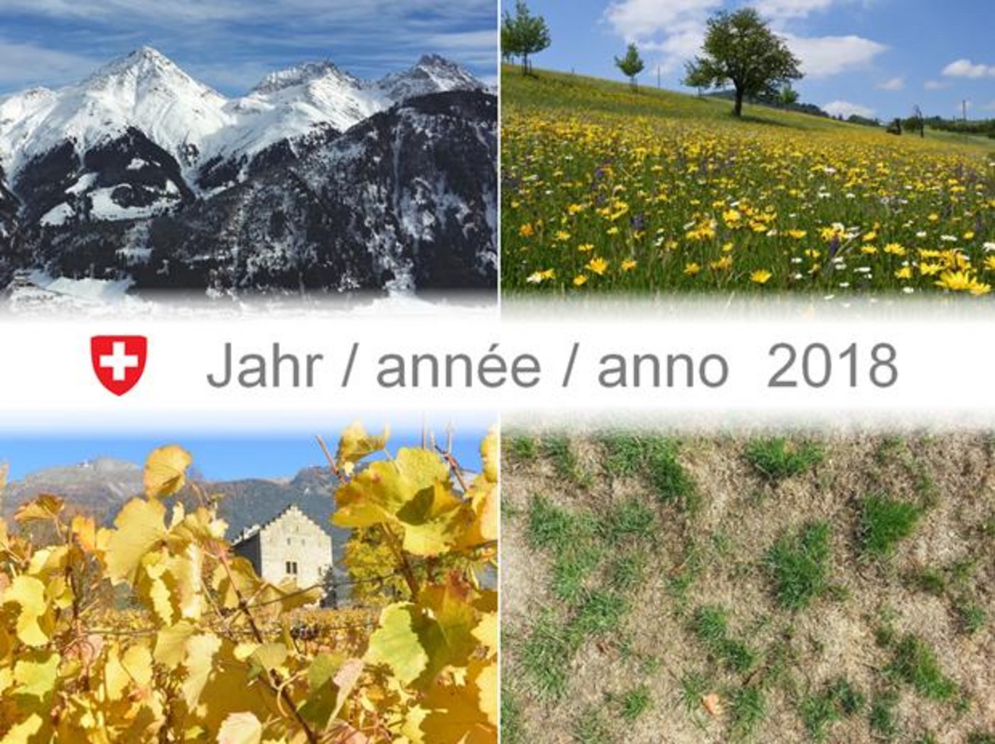 2018 war ein heisses Jahr. (Bild Meteo Schweiz)