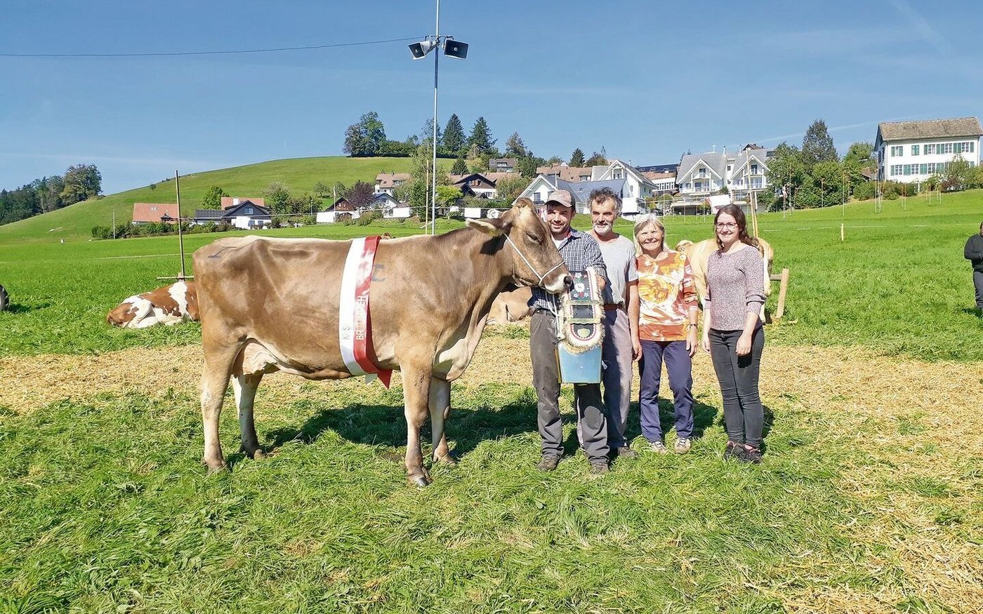 Blooming Bonitta von Familie Bill wurde zur Miss Braunvieh Hirzel erkoren.