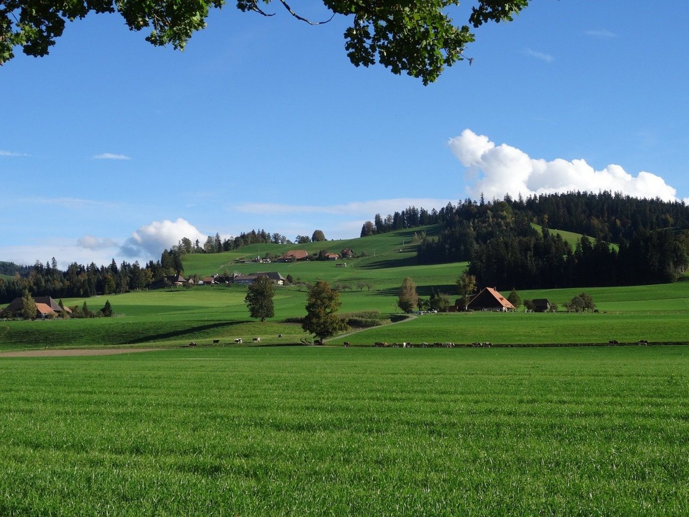 Bei Anpassungen an Bauten ausserhalb der Bauzone soll im Kanton Bern wieder mehr Spielraum möglich werden. (Bild Pixabay)