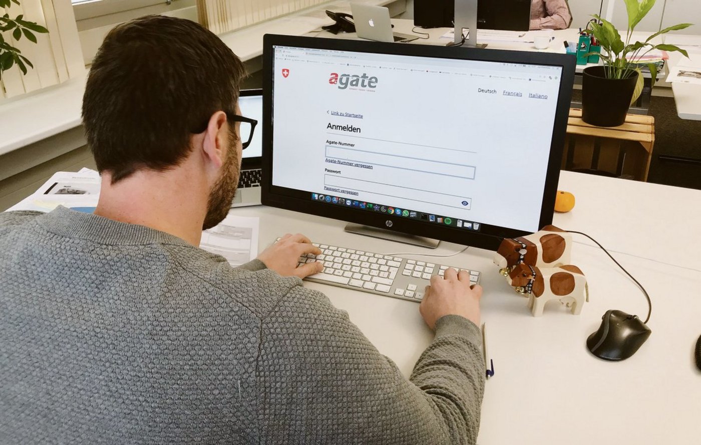 Die Tierverkehrsmeldungen werden von den Landwirten über das Internet erfasst.(Symboldbild Franziska Jurt)