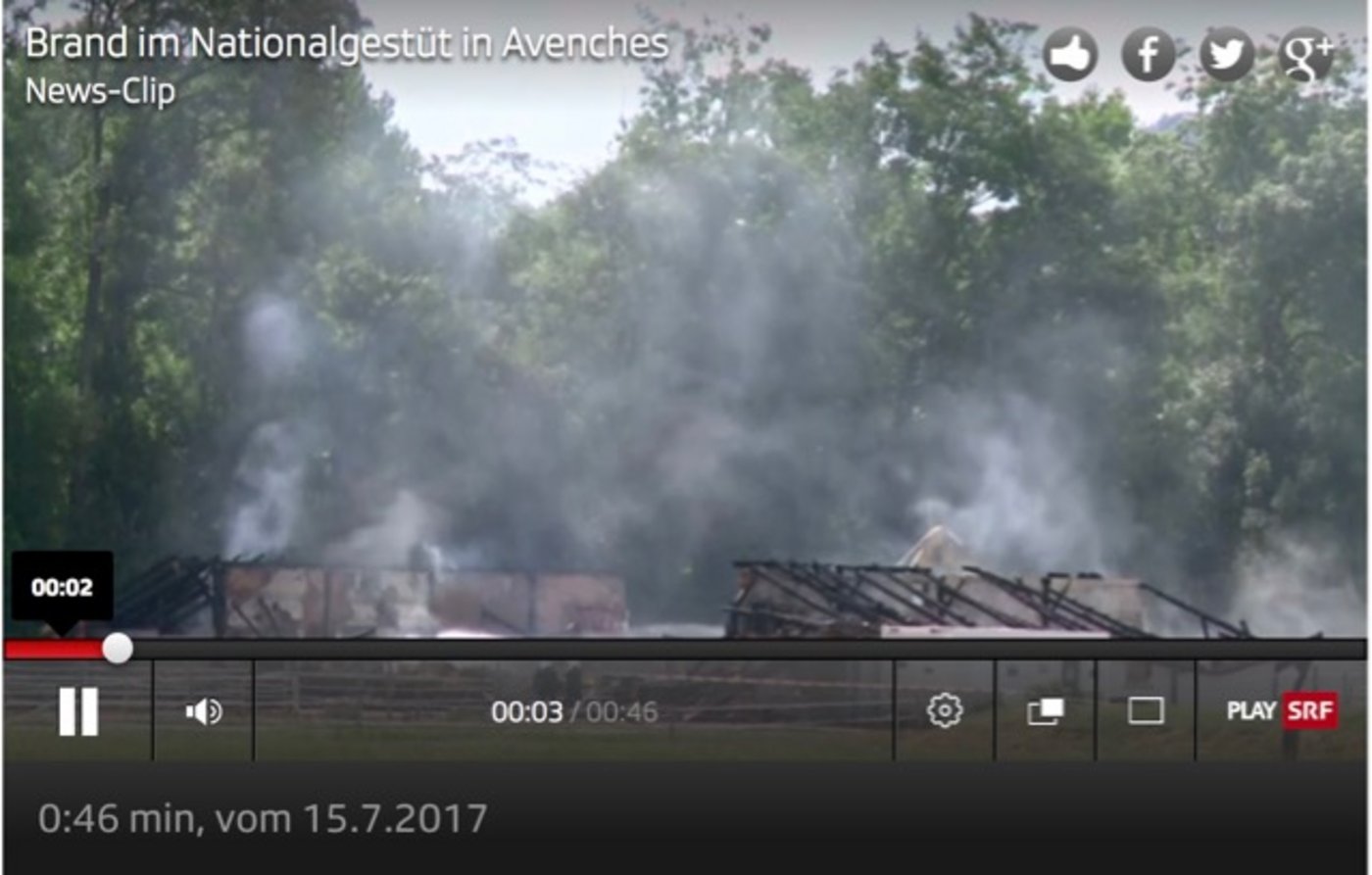 Sieben Brände beschäftigten die lokale Feuerwehr. (Bild Screenshot SRF)