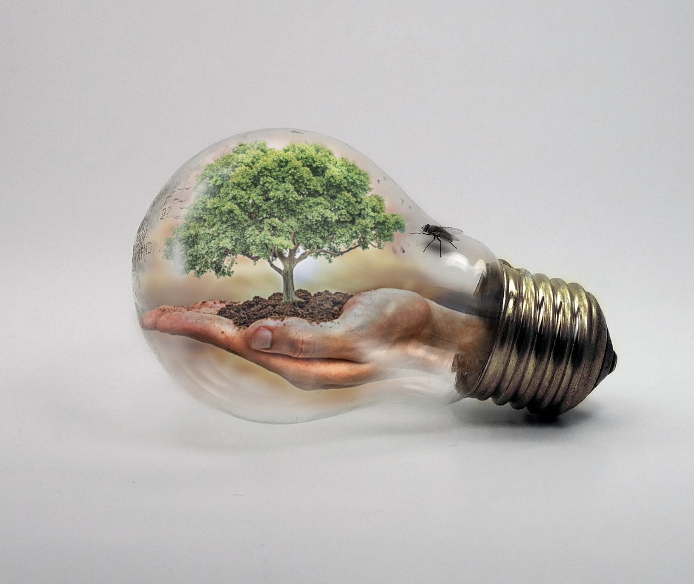 Die Klima-Allianz sucht Projekte zu klimafreundlicher Landwirtschaft und würdigt damit Landwirte und Landwirtinnen, die sich fürs Klima engagieren. (Symbolbild Ivan Tamas/Pixabay)