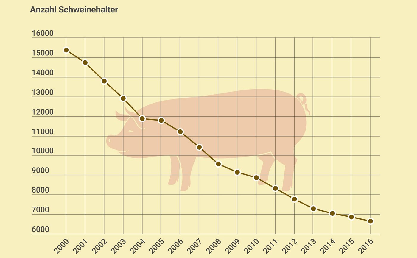 Der Strukturwandel in der Schweinehaltung ist deutlich stärker, als in der übrigen Landwirtschaft. (Grafik LID)