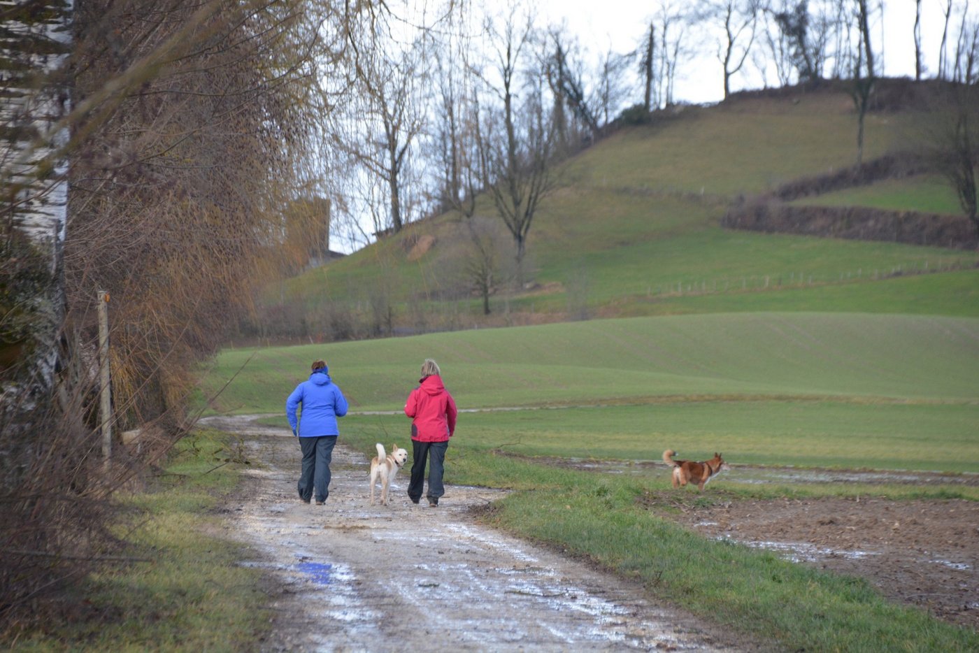 Wanderwege sollen möglichst unbefestigt sein. Deshalb sollen viele neue Wege durch Kulturland gebaut werden. Das wird in 24 Gemeinden der Region Luzern angestrebt. (Symbolbild BauZ)