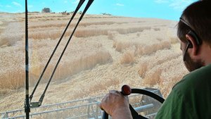 Die Expertise der pr Die Expertise der produzierenden Landwirtschaft fehle in der beratenden Kommission des Bundesrates, so die Kritik von Bauernunternehmen.
