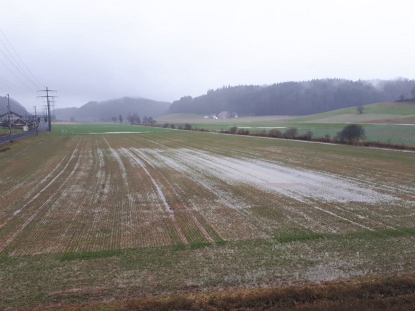 Im Oberaargau sammelt sich nach den starken Niederschlägen in der Nacht auf Montag bereits Wasser in den Feldern. (Bilder sb)