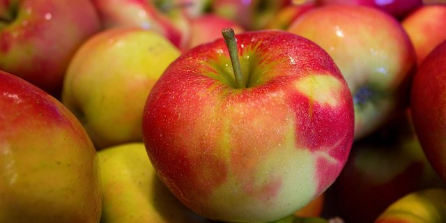 Die Ernteschätzung ist mit Unsicherheiten behaftet. Ausserdem dürften äusserliche Qualitätsprobleme (Schorf, Frostringe) die vermarktbare Menge verkleinern. (Bild Pixabay)