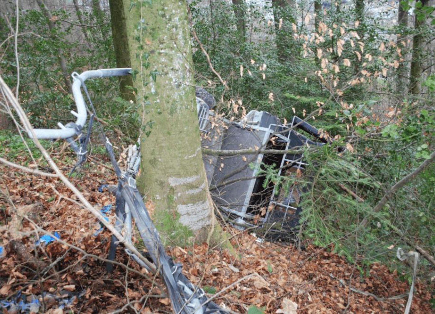 Der Kutschenführer ist bei einer Kurve ins Schlittern gekommen und den Hang hinunter gekippt. (Bild polizei-schweiz.ch)
