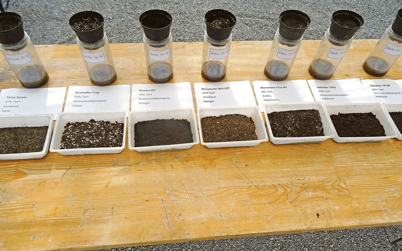 Interessant ist, dass nicht der Topf mit 90 Prozent Torfanteil am meisten Wasser aufnahm, sondern derjenige mit 70 Prozent.