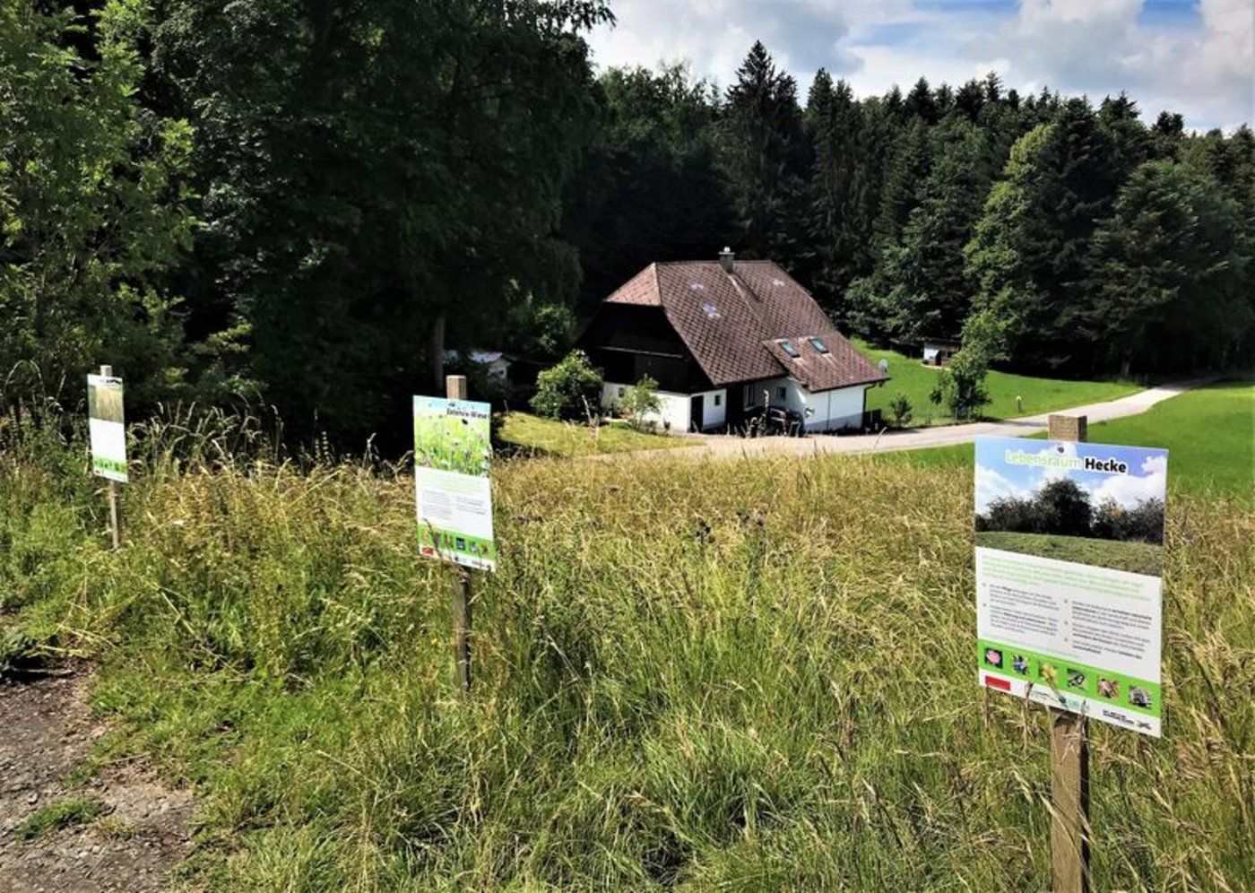 Die Aktion «Erlebnis Bauernhof 2020» will der Bevölkerung die Landwirtschaft kreativ und spielerisch näherbringen. (Bild lid)
