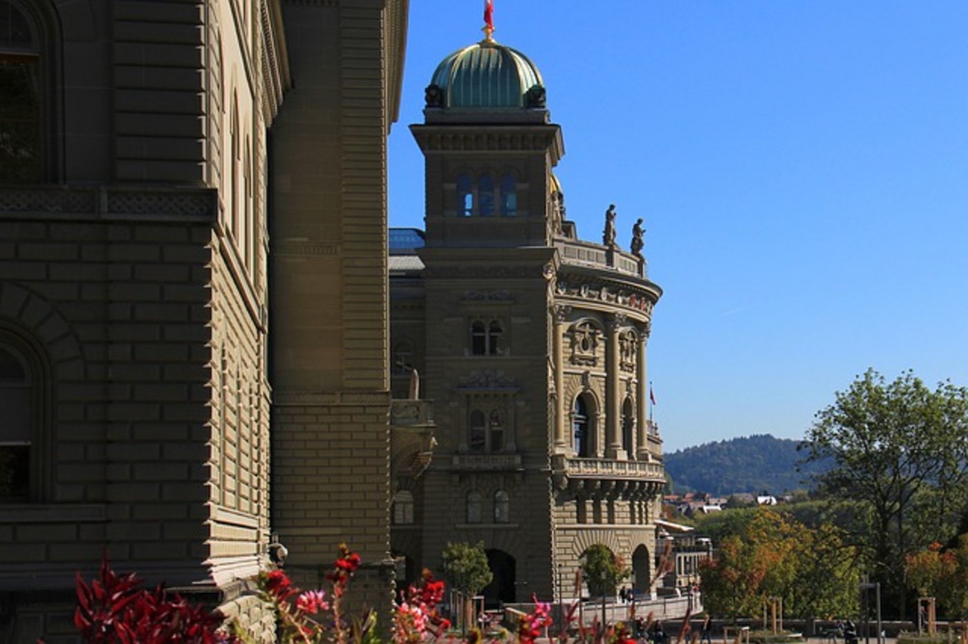 National- und Ständerat wollen eine Deklarationspflicht zur Art und Herkunft des Holzes. (Bild Pixabay)