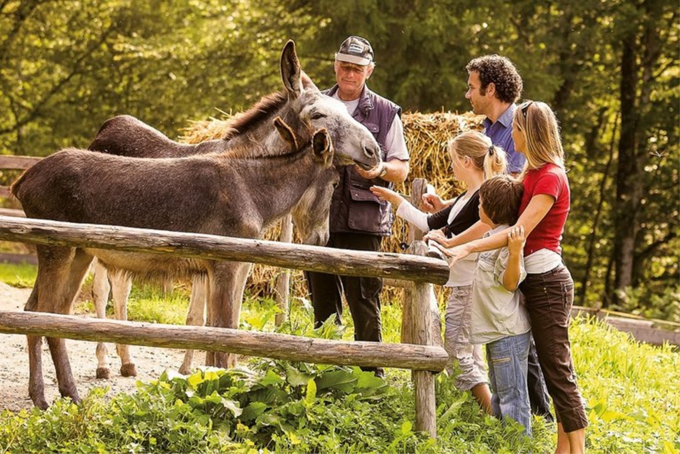 Bäuerinnen vor Ort erzählen, wie sie ihre Tiere halten. (Bild Freilichtmuseum Ballenberg)