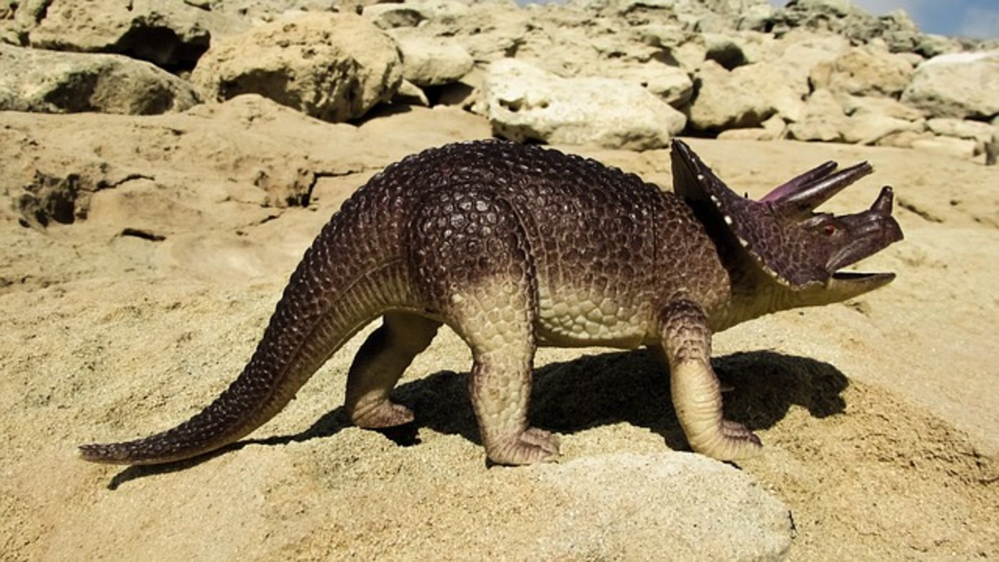 Während die Nase von gepanzerten Dinosauriern beim Einatmen die Luft bis in die Nähe der Körpertemperatur erwärmen muss, soll sie beim Ausatmen möglichst viel Wärme aus der Luft zurückgewinnen. (Symbolbild pixabay)