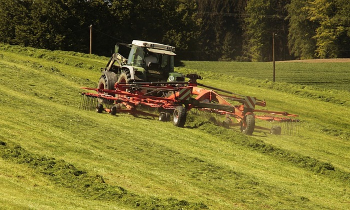 Der junge Chilener wurde während einer Traktorfahrt erschossen. (Symbolbild pixabay)