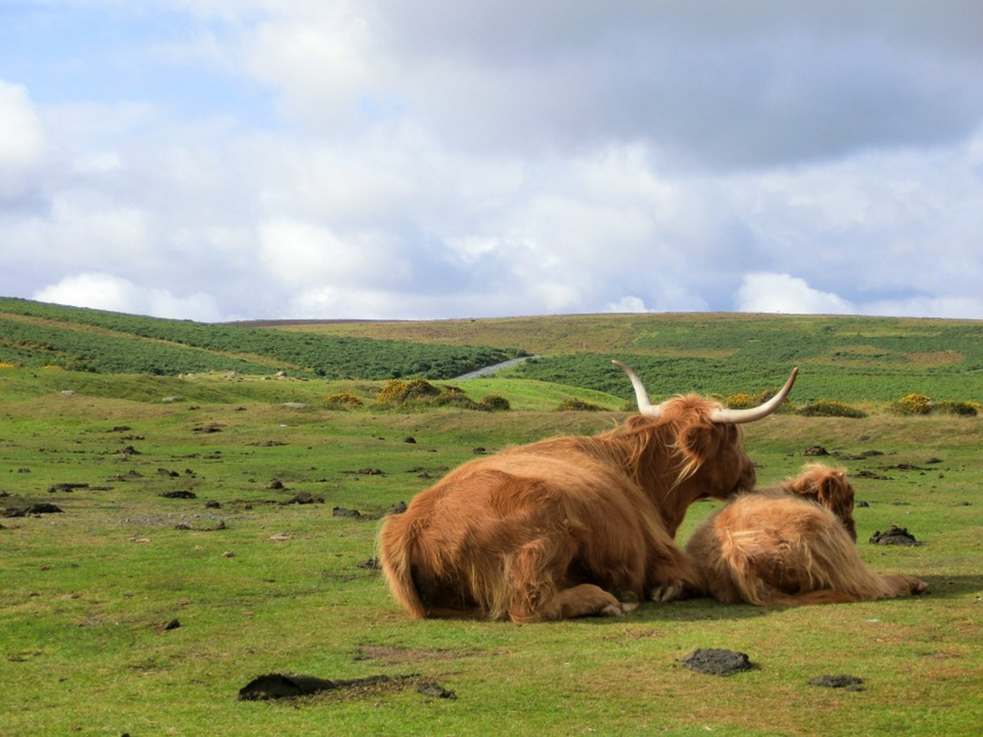 Welche Folgen Brexit auf die britische Landwirtschaft haben wird, ist noch schwer abschätzbar. (Bild Pixabay)