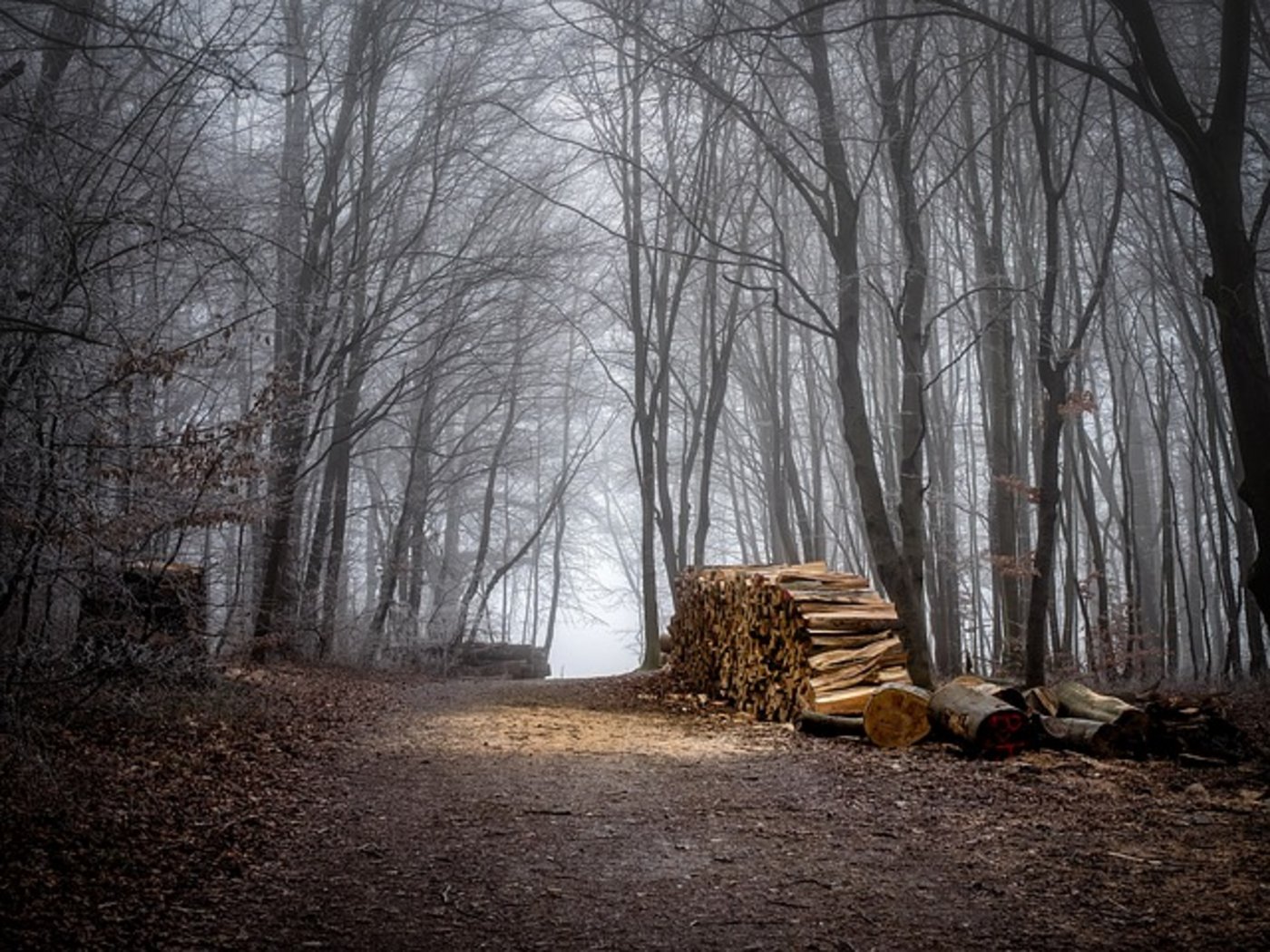 Wie es zum Unfall kam, wird noch untersucht. (Symbolbild Pixabay)