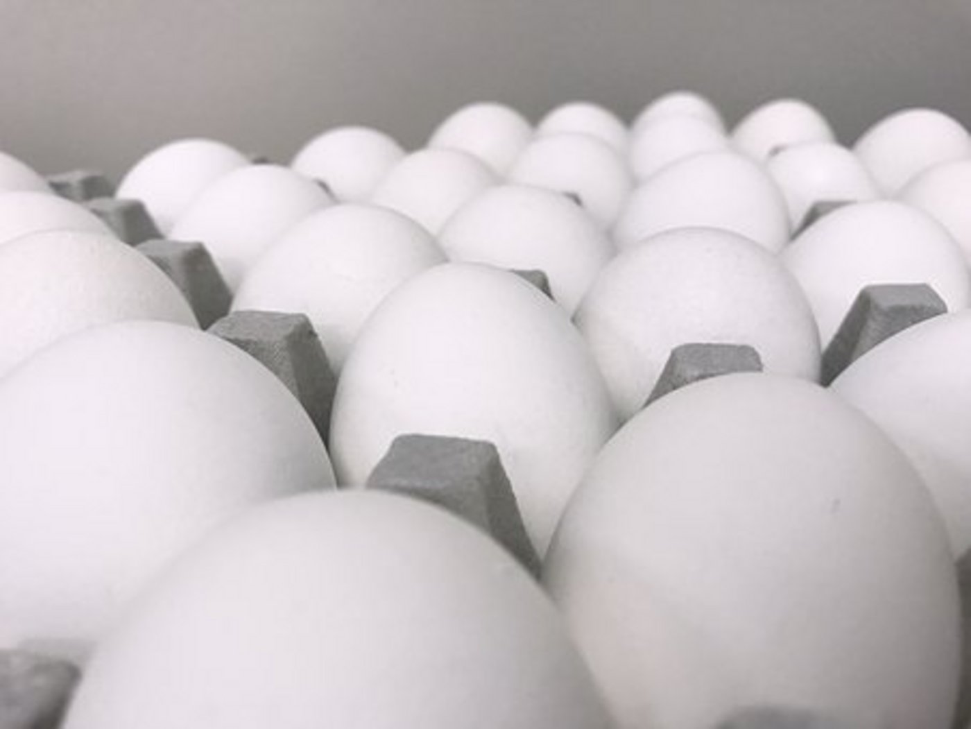 Zwei Grosshändler haben nach Angaben der Lebensmittelaufsicht Oberösterreich Hunderte Kilo gekochter und geschälter Eier aus den Niederlanden an Gastronomen im ganzen Land verkauft. (Symbolbild Pixabay)