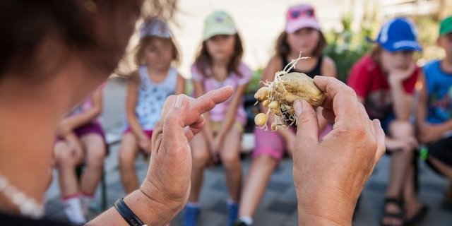 Auf Judith Pfefferlis Hof kommen Kinder in Kontakt mit der Landwirtschaft. Damit es für die Kleinen nicht langweilig wird, passt die Kindergärtnerin ihre Kurse laufend an. (Bild zVg/Judith Pfefferli)