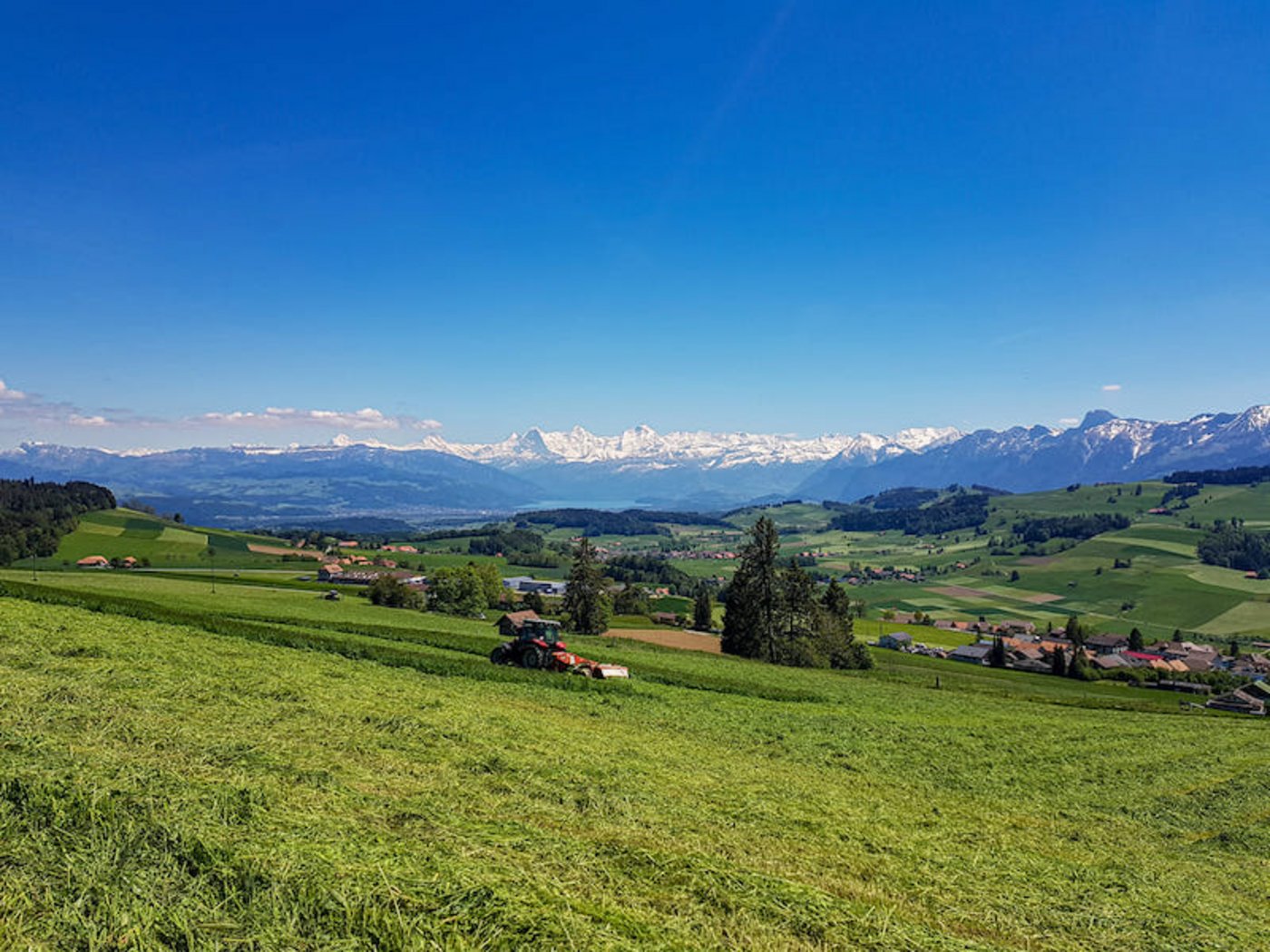 Die Mähmaschinen laufen zur Zeit auf Hochtouren. (Bild Sonja Ryser)