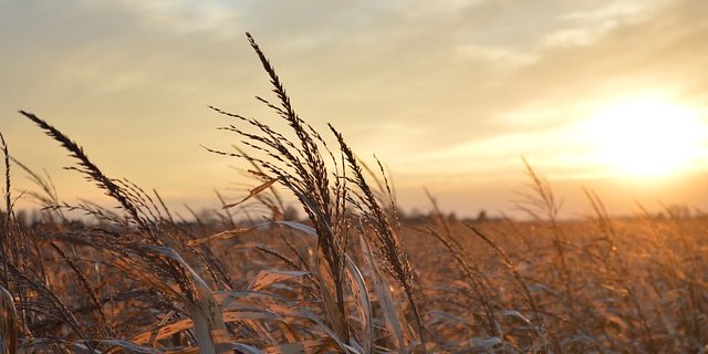 Die Bevölkerung soll in Zukunft auch vor Trockenheit und Hangrutschen warnen. (Bild Pixabay)