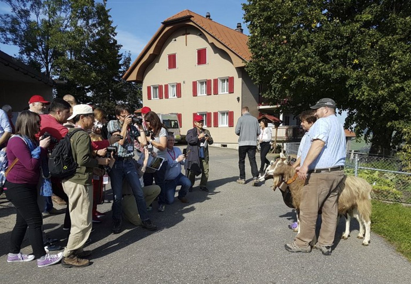 Zu Besuch auf Wigger's Ziegenhof. (Bild ji)