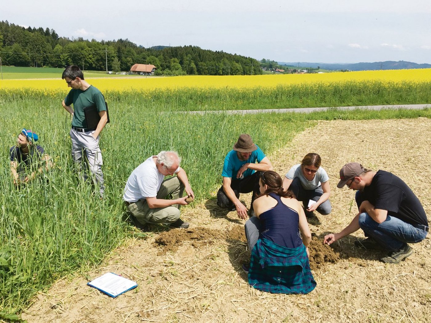 Die Arbeitskreismitglieder schauen ganz genau hin: Gründüngung Wintergrün, Sativa, rechts oberflächlich eingearbeitet, links noch stehend.(Bild zVg)