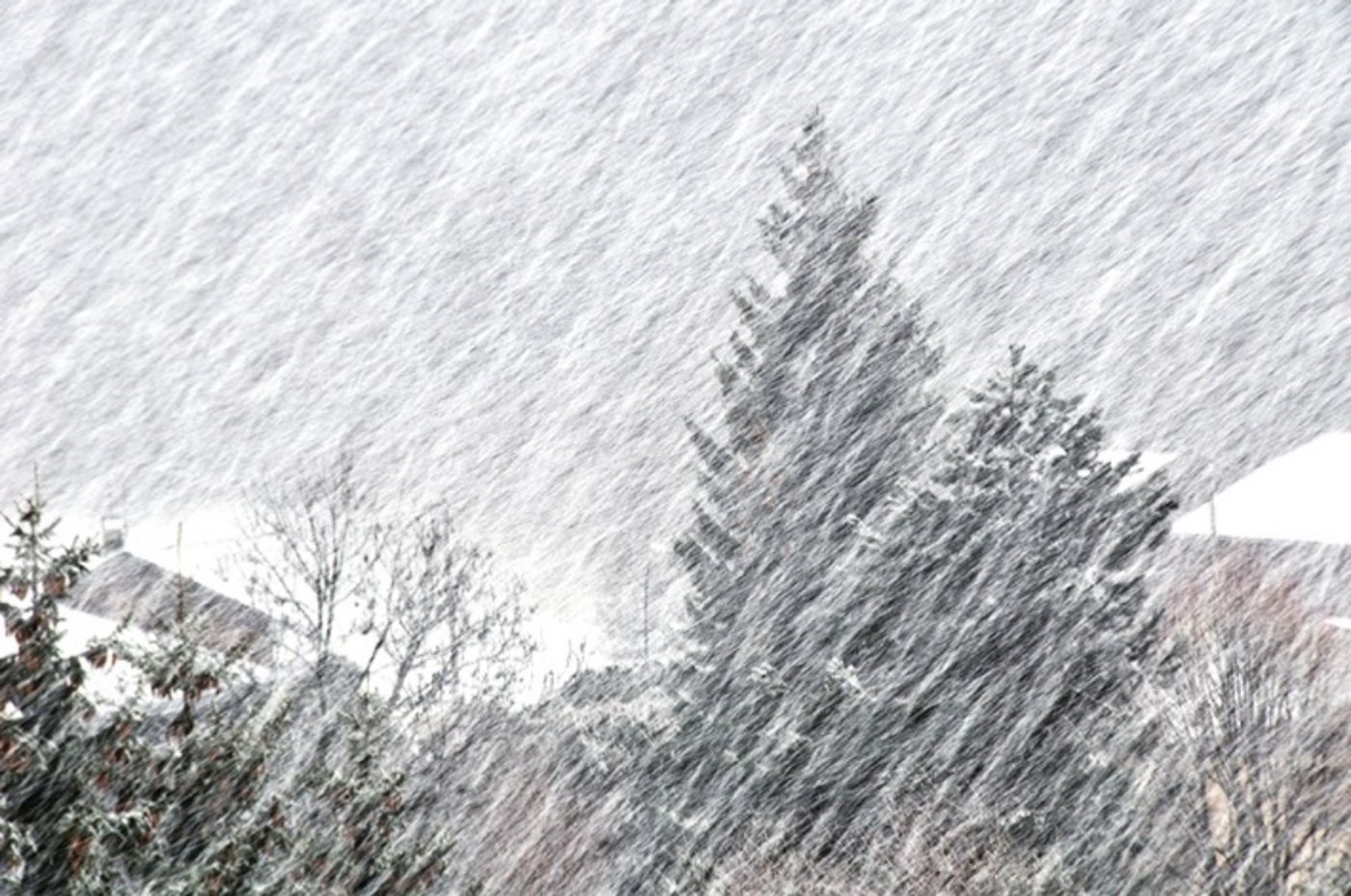 Symbolbild: Schneesturm. (Bild zvg)