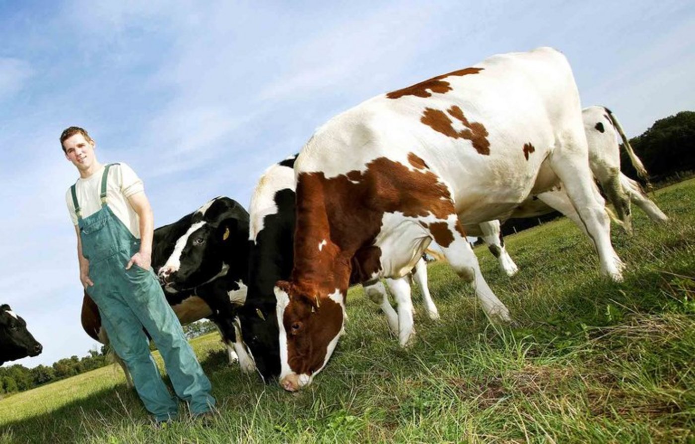 Die Betreuung von Tieren ist intensiv, Ferien liegen deshalb für Bauern oft nicht drin. (Bild Eileen Gruschka/landwirtschaft.ch)