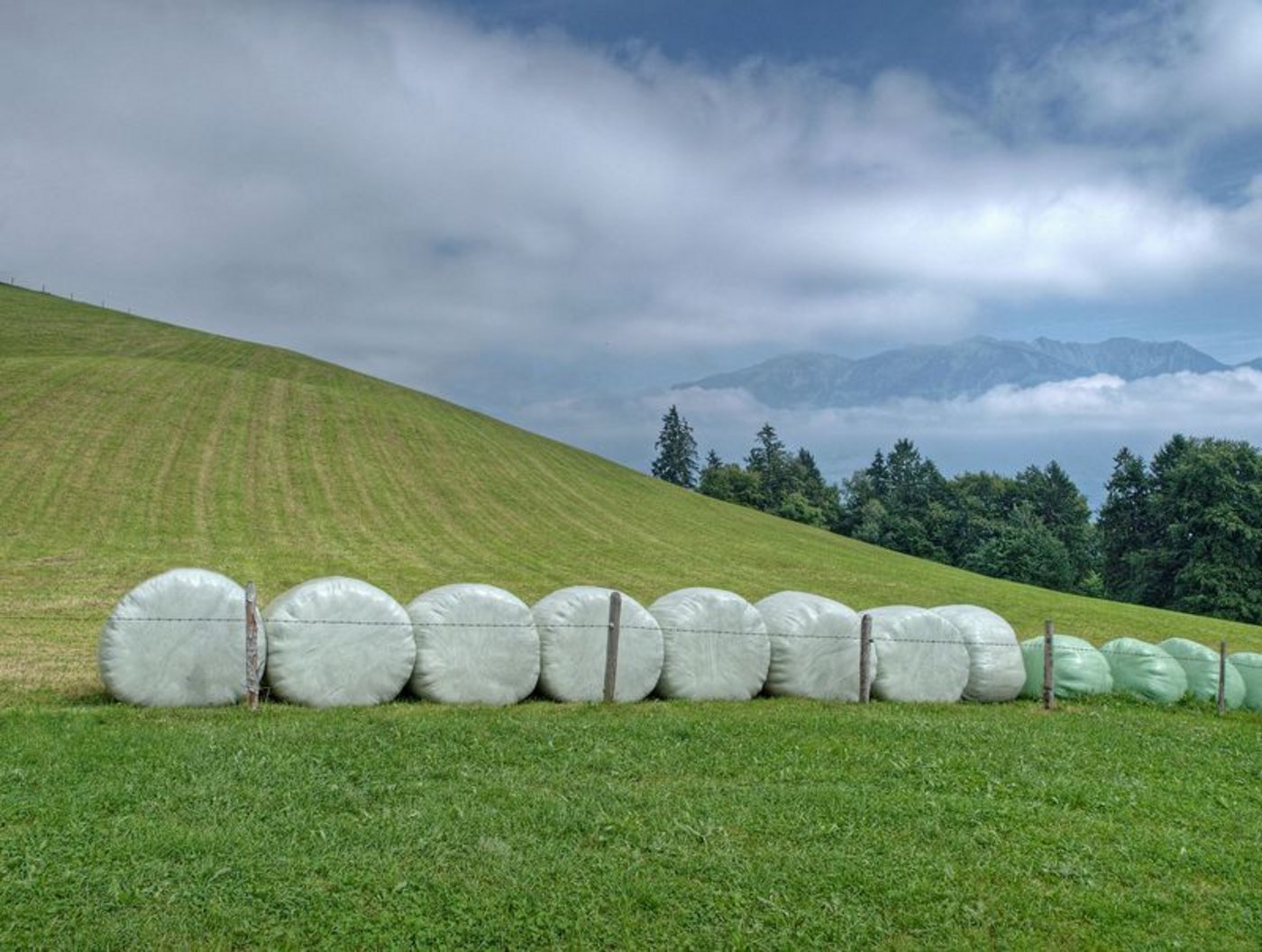 Kunststoff aus recyceltem Material benötigt weniger Energie als die Produktion von neuem Kunststoff. (Bild Hermann Limacher/landwirtschaft.ch)