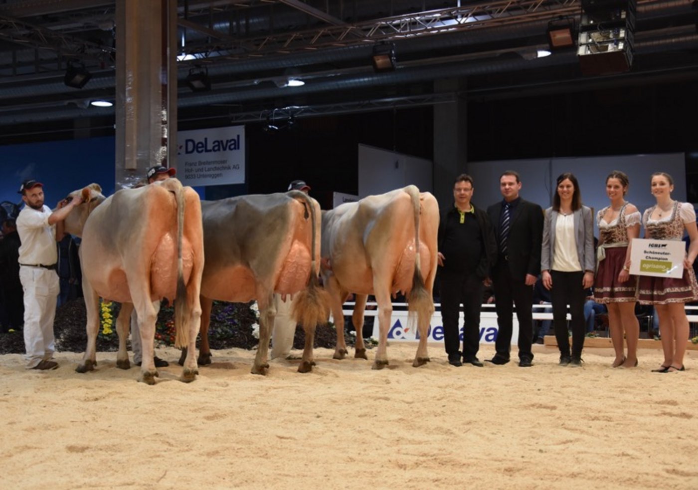 Die Schöneuter-Champion (links) Jocker Ella, Reserve Salomon Sarina und Edgard Jupita.  