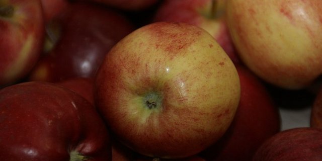 Vor allem in Polen geht die Apfel-Ernte deutlich zurück. (Symbolbild lid)