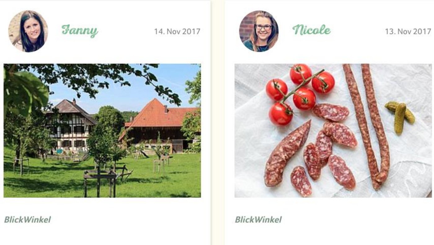 So präsentiert sich der neue Blog. (Bild Screenshot stadtland.swissmilk.ch)