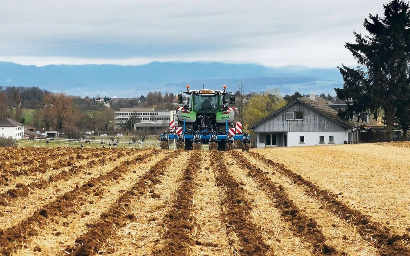 Mit dem Strip-Till-Verfahren ersetzt der Rübenbauer den konventionellen Pflug. Nur die Saatreihen werden bearbeitet. 