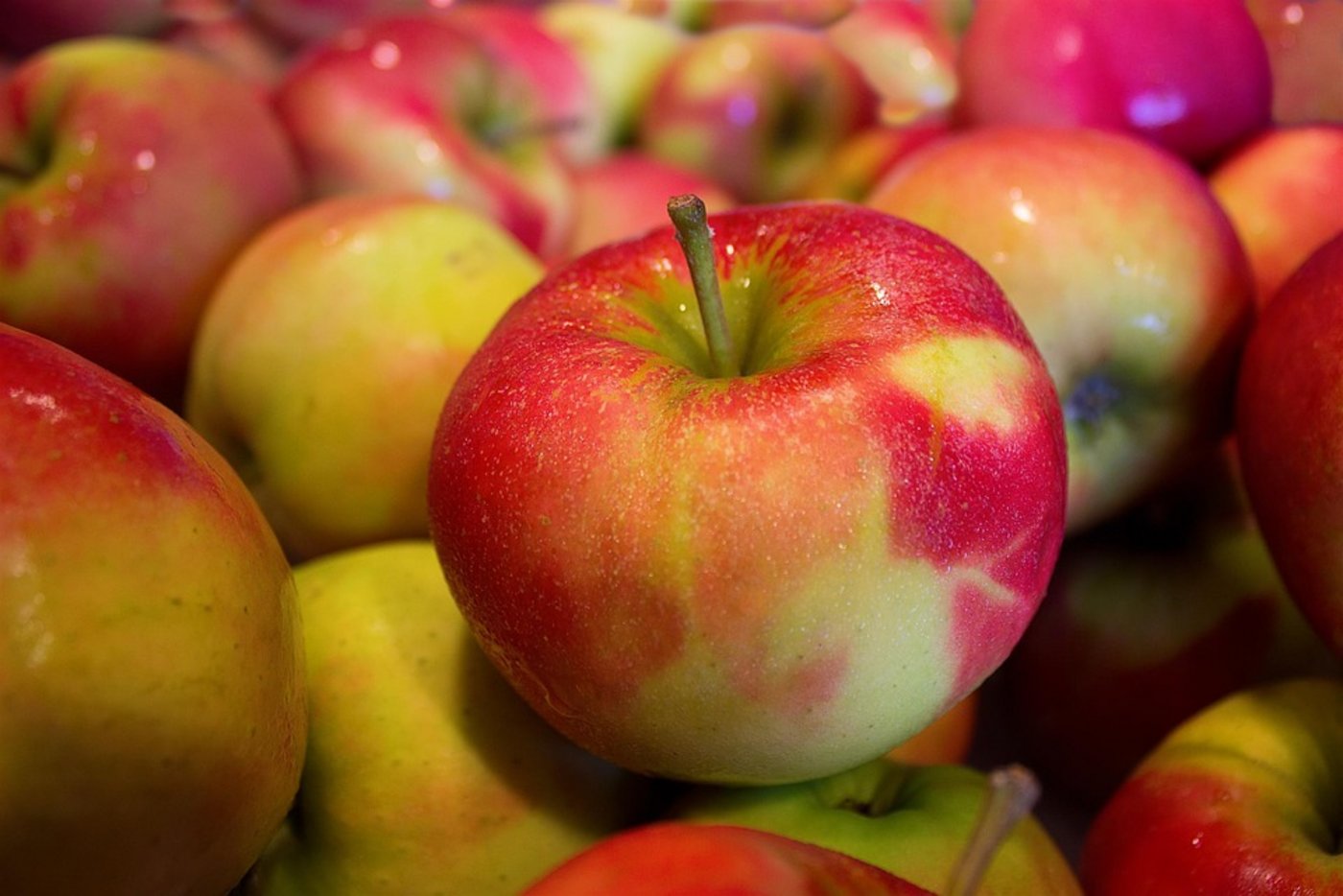 Mangelware Schweizer Apfel: Wegen der Frostnächte im April 2017 sind die Apfellager leer. (Symbolbild Pixabay)