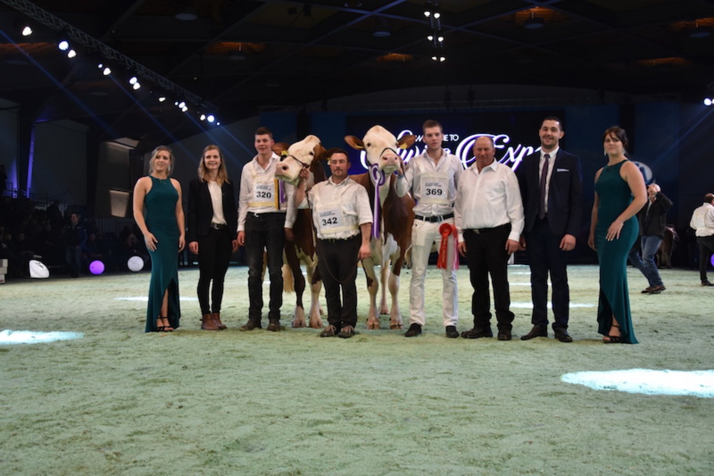 Grande Championne wurde Gedeon Gitane (rechts) von Michel Chaubert aus Puidoux VD. Den Reserve-Titel holte sich Praz-Tecot Cargo Californie von Pierre Guignard aus Rances VD.
