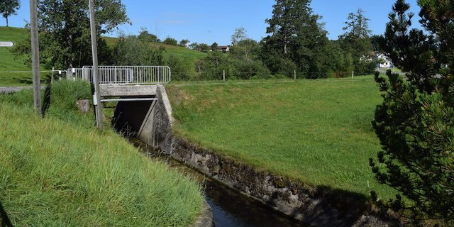 Der Albertswilerbach bei Gossau war ein Bach, der zu stark mit Pflanzenschutzmitteln belastet war. (Bilder Stefanie Giger)
