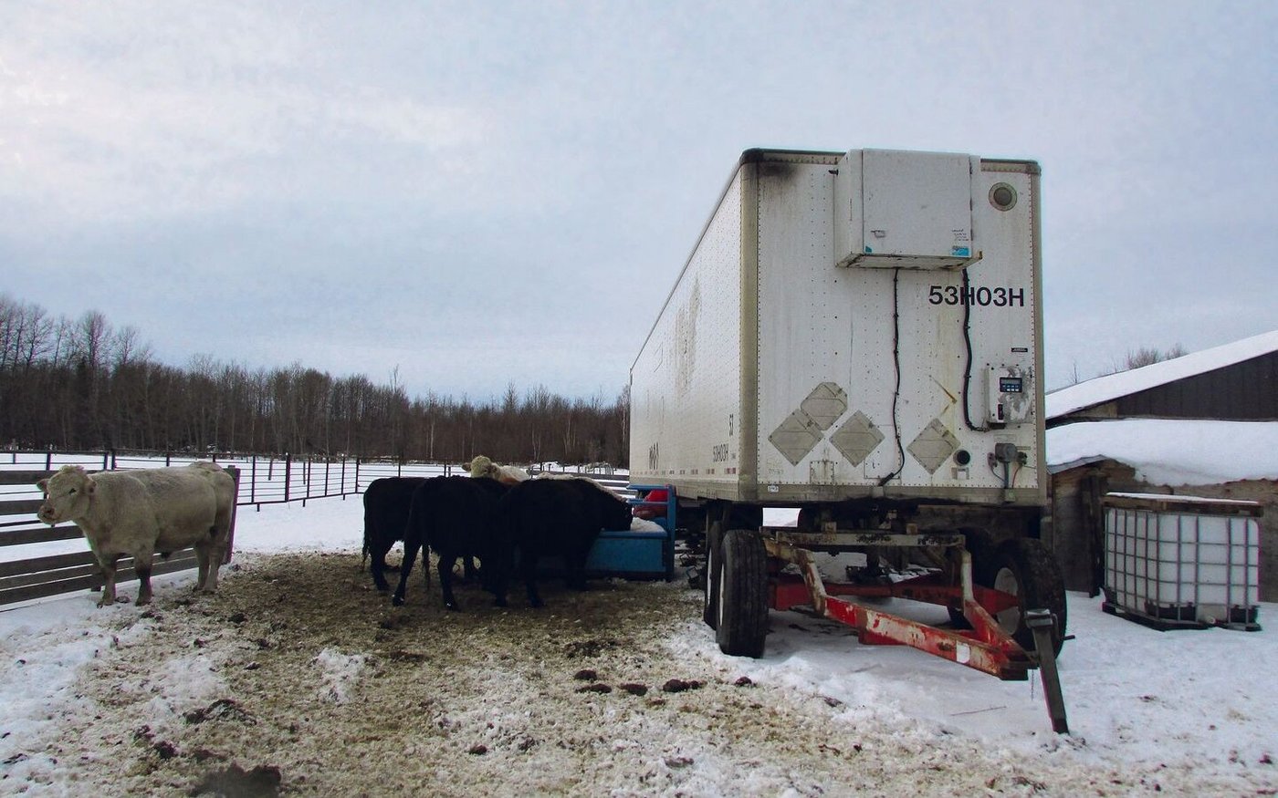 Der eingebaute dieselbetriebene Generator hat einen 12 000-Liter-Tank, inklusive Zu- und Ableitungen. Das Innere des Lastwagen-Anhängers wurde bisher frostfrei gehalten und die Kühe bekommen Wasser ohne Verzögerungen.
