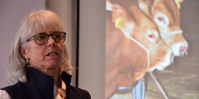 Verena Schindler, Präsidentin von Swiss Limousine führte durch die Versammlung. (Bild Peter Fankhauser)
