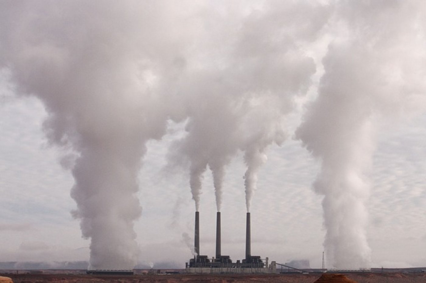 Nicht nur Schweizer Klimastreikende machen sich ernsthafte Sorgen um die Zukunft. In Deutschland und den Niederlanden geht man nun einen rechtlichen Weg, um mehr Klimaschutz zu erwirken. (Bild Pixabay)