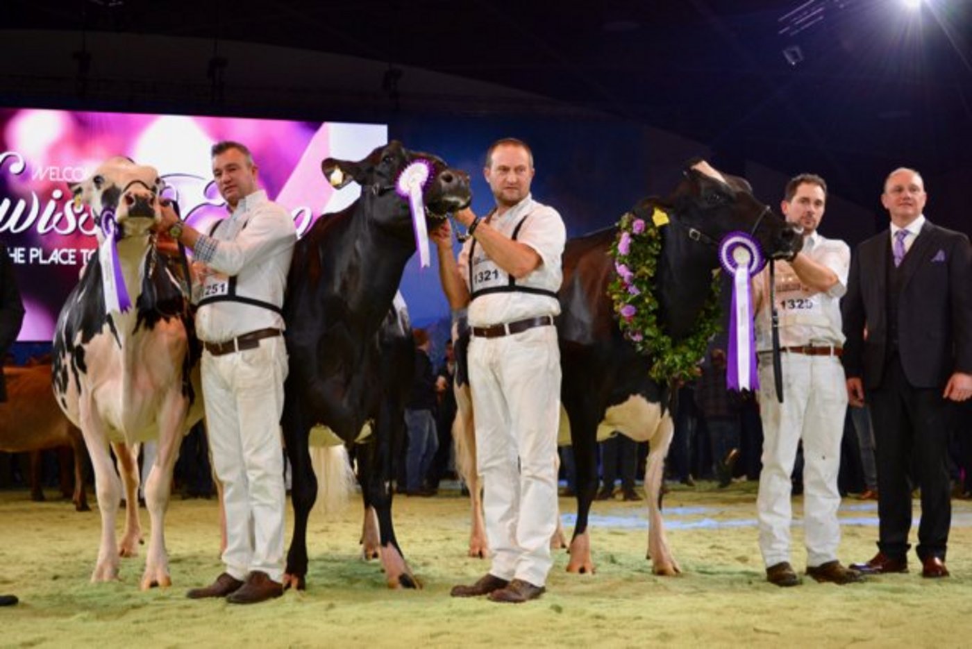 Die Siegerinnen der Grand-Champion-Holstein (von rechts): Ghardaia, Heline und Jolie. (Bilder jba)