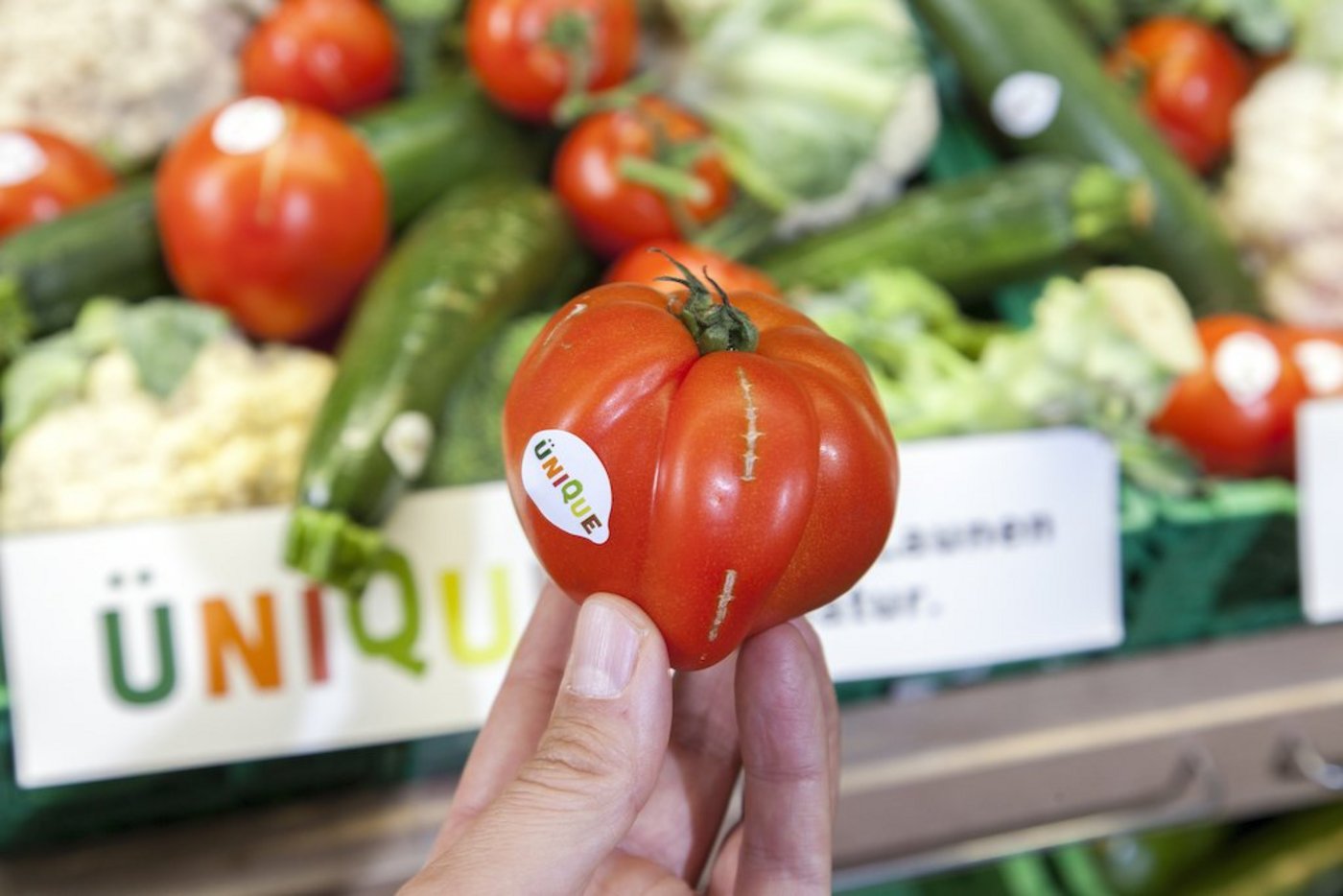 Der Preis für nicht-normgemässes Gemüse, das als «Ünique» verkauft wird, sei Verhandlungssache. Per Definition ist er aber sehr tief, obwohl sich die Mängel auf das Erscheinungsbild beschränken. (Bild Coop)