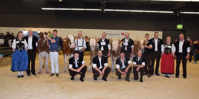 Heuer gibts leider keine solchen Bilder wie hier 2019: Die Berner Oberländische Verbandsschau wird abgesagt. (Bild Archiv)