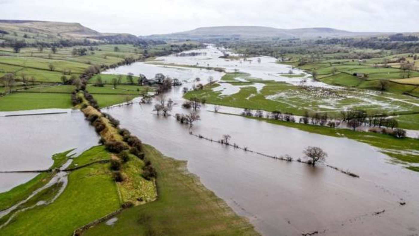 Der Bauernverband fordert die Londoner Regierung auf, den betroffenen Bauern finanziell zu Helfen. (Bild NFU)