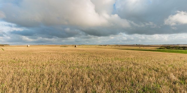 Felder in Dänemark. (Symbolbild Pixabay)