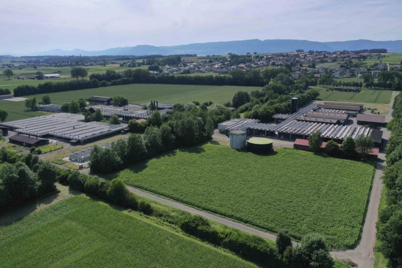 Auf dem AgriCo-Campus sind bereits die Unternehmen Bee Vectoring Technology, Alver, Edapro, Timac Agro, Vertical Master und Maison Amarella eingemietet. (Bild AgriFood)