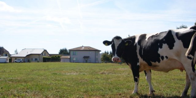 Die Initiative schütze das Kulturland auch vor der Landwirtschaft, so der TIF. (Bild Zersiedelun-gstoppen.ch)