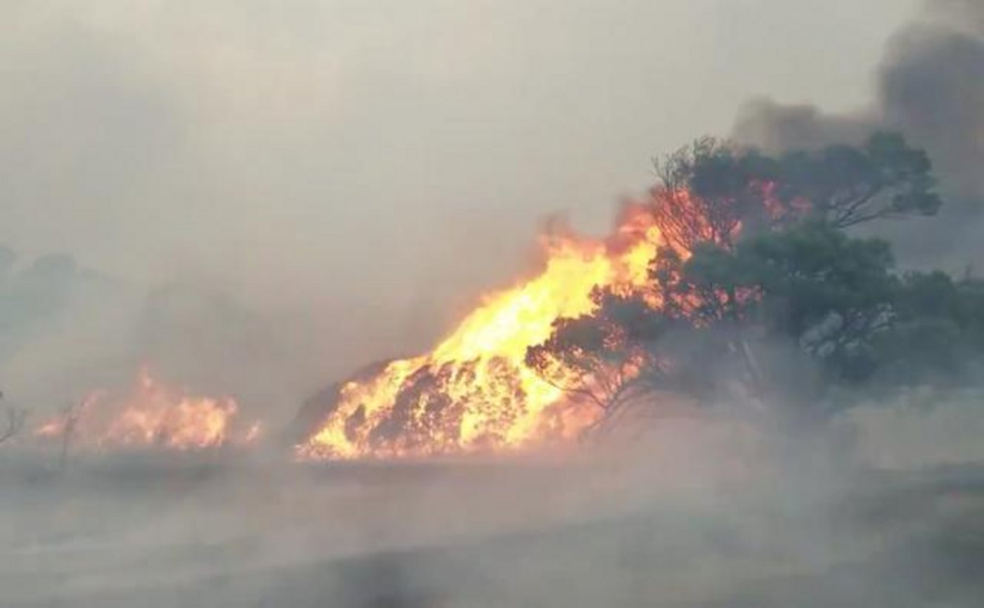 An mehreren Dutzend Stellen waren die Flammen ausser Kontrolle. Tausende Menschen mussten ihre Häuser verlassen. (Bild MFB News)