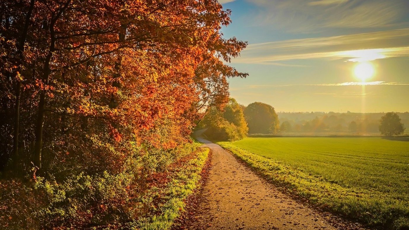 Ungewöhnlich schön war dieses Jahr der Altweibersommer dank Hochdrucklagen zur Oktobermitte. (Symbolbild Pixabay)