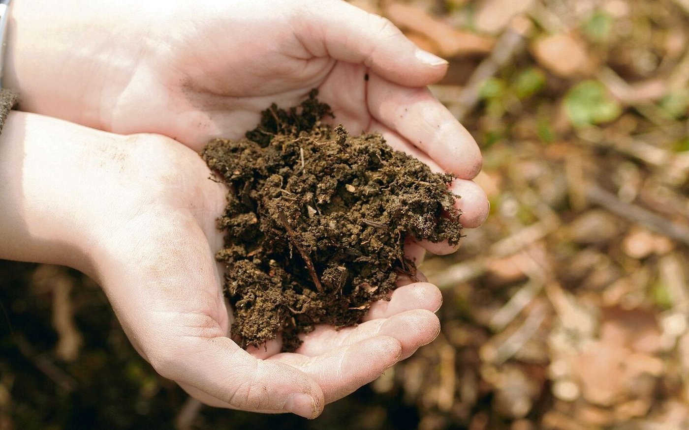 Der Boden erbringt unentbehrliche Leistungen für Mensch und Umwelt.