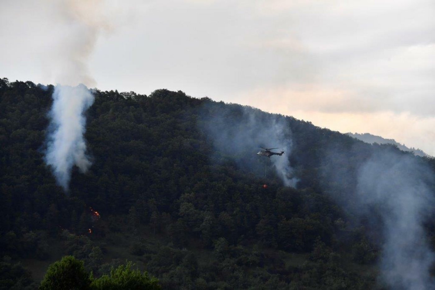 Zwei Armeehelikopter unterstützten die Löscharbeiten im steilen Gelände. (Bild Kapo ZH)